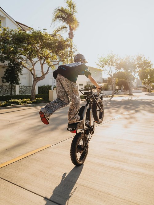 MACFOX X1S 2025 Ebikes for Adults, 750W Electric Bike Wheelie 25 MPH Max Speed, 38 Miles Range(PAS1), 20"x4" Fat Tires, City/School Commuting Electric Bike (UL2849, Class-3) (Black - Standard)