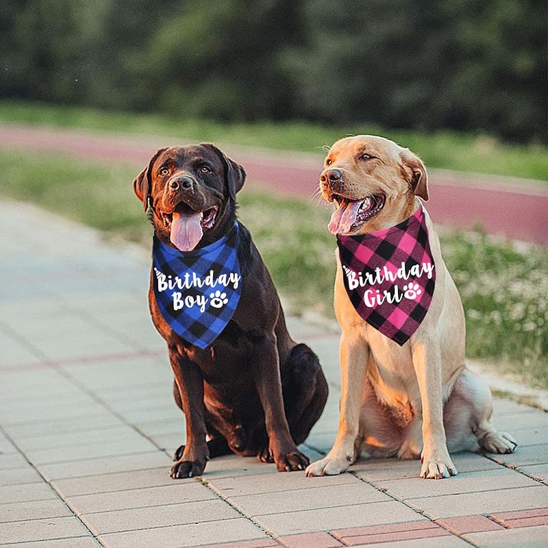 Birthday Boy/Girl Buffalo Plaid Dog Bandana - Blue & Pink (Variation of THIS listing)