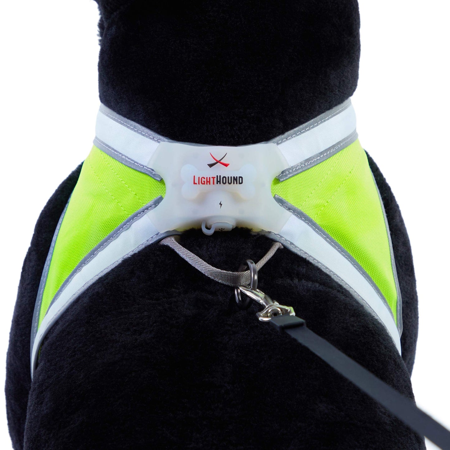 Noxgear LightHound – Revolutionary Illuminated and Reflective Harness for Dogs Including Multicolored LED Fiber Optics (USB Rechargeable, Adjustable, Lightweight, Rainproof) (Large)
