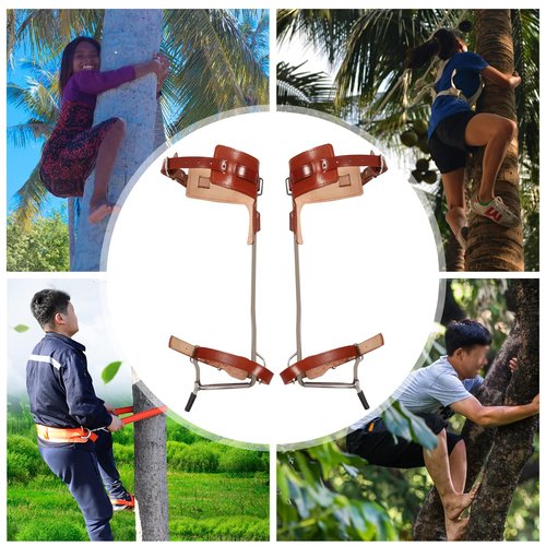 CheriMuMu Cowhide Leather Tree Climbing Spikes Set, Buckle Tree Climbing Gear with Adjustable Climbing Belt Rope, Climbing Tools Kit for Climbing, Picking Fruit, Indoor and Outdoor Sports(Brown)