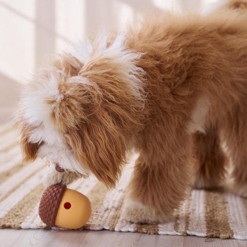 SPOT Treat Tumbler Acorn – Freezable & Fillable Treat Dispensing Dog Toy for Small & Medium Dogs, Silicone, Easy to Clean, Interactive, Holds Small Kibble & Soft Snacks, 4.63 in