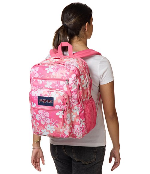 JanSport Laptop Backpack - Computer Bag with 2 Compartments, Ergonomic Shoulder Straps, 15” Laptop Sleeve, Haul Handle - Hiblisscus