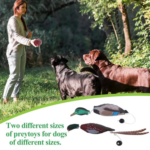 FIONUPI 2Pcs/3Pcs Duck Dummy Dog Pheasant Toy for Outdoor Training Tools Duck Bumper Retriever Dead Dummy Floating Mallard Recognition Trainers Toy (2)