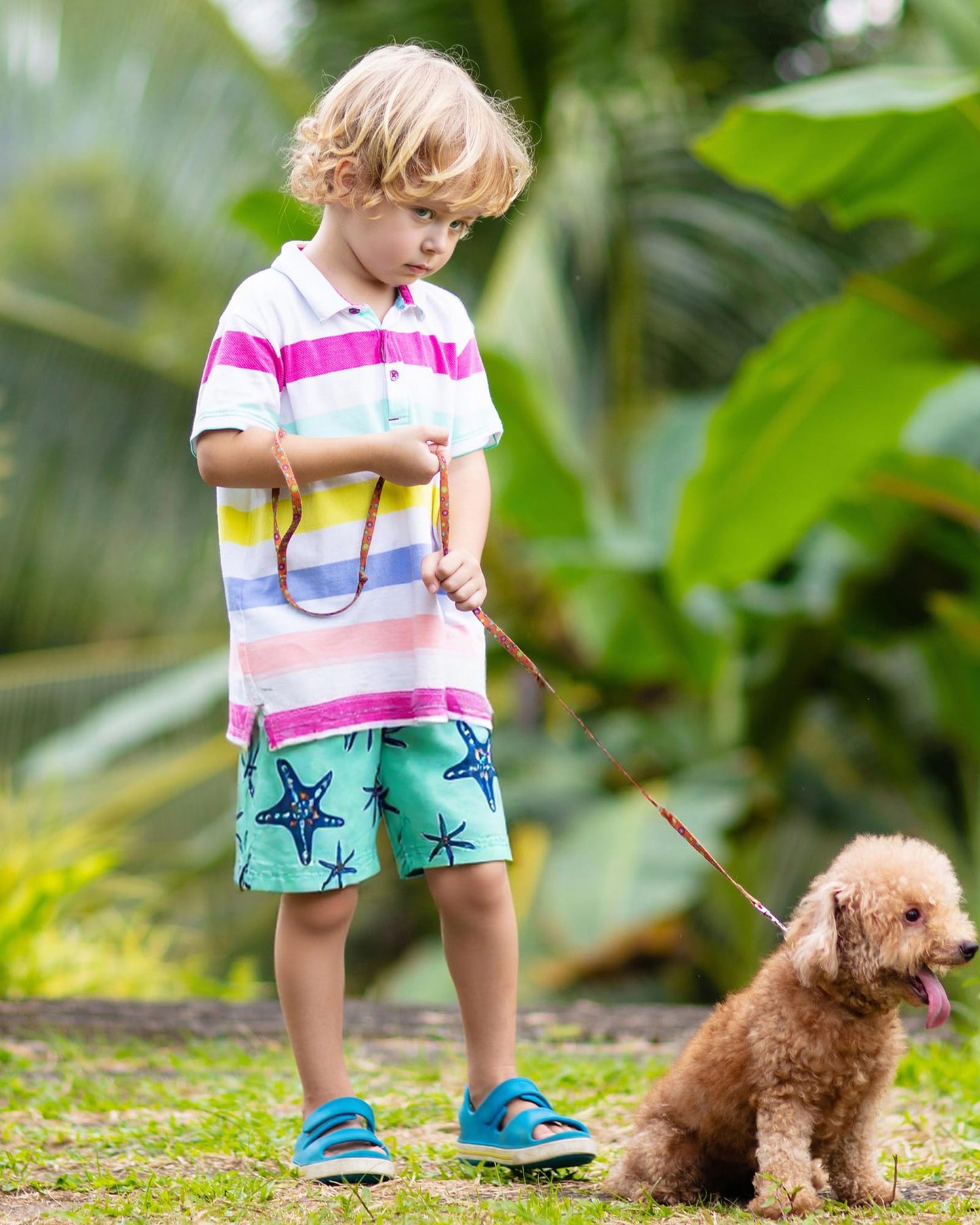 SURF CUZ Little Boys Swim Trunks UPF 50+ Toddler Beach Shorts Swimsuit Kids Quick Dry Swimwear(Starfish, 7)