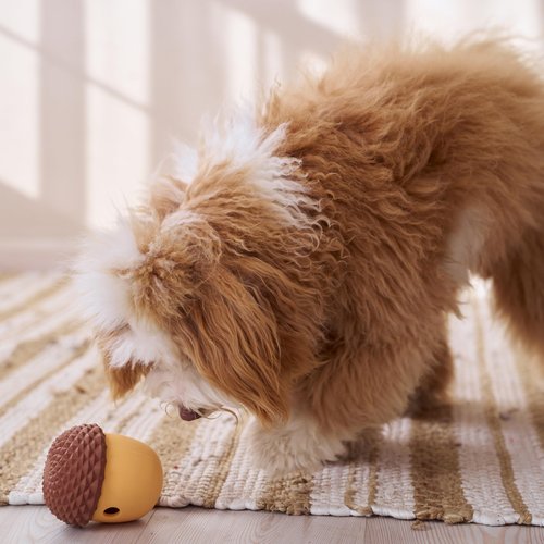 SPOT Treat Tumbler Acorn – Freezable & Fillable Treat Dispensing Dog Toy for Small & Medium Dogs, Silicone, Easy to Clean, Interactive, Holds Small Kibble & Soft Snacks, 4.63 in