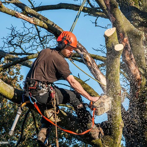 Tree Climbing Gear，Tree Climbing Spikes, Tree Climbing Gear with Adjustable Climbing Straps and Steel Core Flip Line, Rock Climbing Kit with Triple Lock Lanyard Adjuster