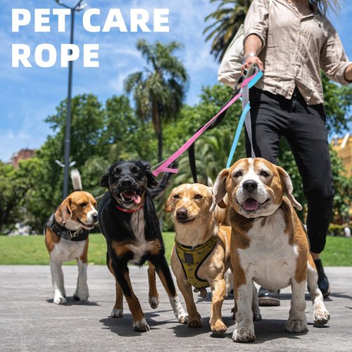 Wholelovein 16 Rolls 1 Inch Wide Heavy Cotton Webbing Strap 3.3 Yard 16 Colors Polyester Webbing Strap for DIY Making Bag Handles, Crafting Gear Repair, Pet Leash, Backpack, Gardening Accessories