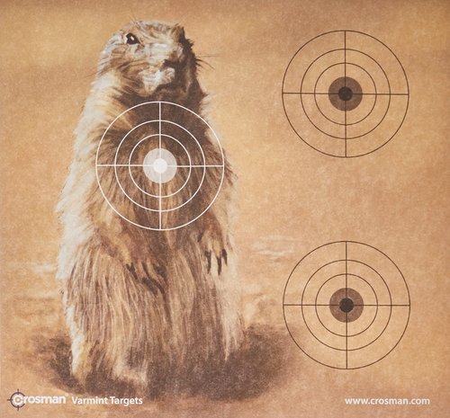 Crosman Varmint Targets, 20-Pack