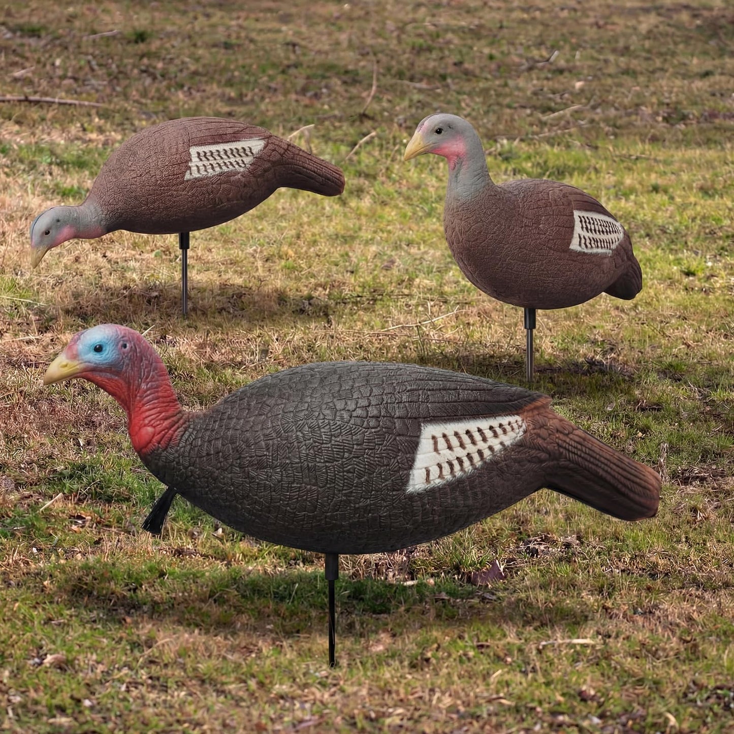 Poen 3 Pack Turkey Decoys Collapsible Hunting Combo Decoy Standing Lifelike Turkey Decoys Realistic Hunting Hen and Jake Decoy with Foldable Stake for Field Forest Wood Ground Outdoor