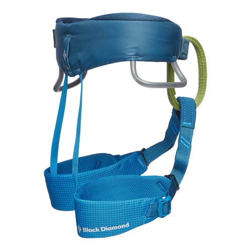 BLACK DIAMOND Kids Momentum Climbing Harness, Kingfisher, One Size, Fits Most Children Between 35-80 lbs