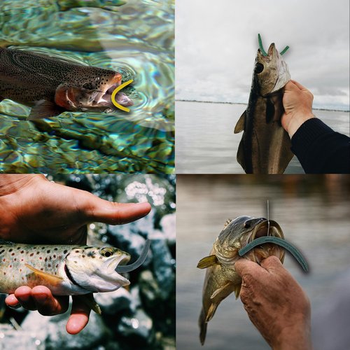 Wacky Worm Bass Lures Kit: 40PCS 5" Senko Worms with Storage Box | Slow-Sink Fishing Baits for Freshwater Saltwater
