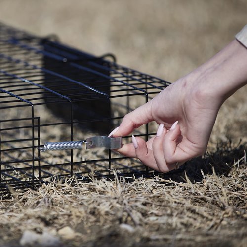 Rugged Ranch Squirrel Trap, Live Animal Catch & Release Cage, Squirrelinator, Black - Humane Indoor and Outdoor Catcher for Chipmunks and Squirrels