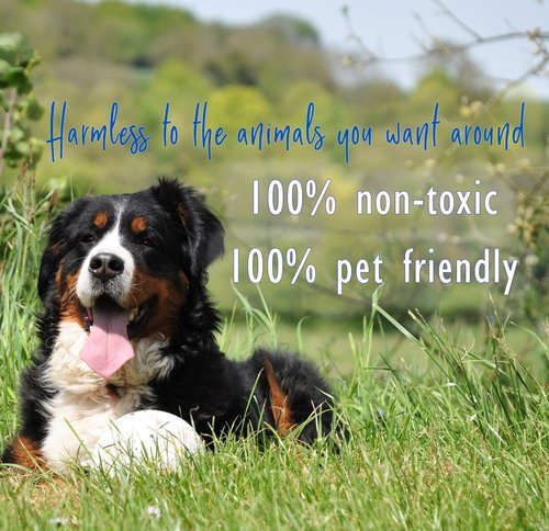 PredatorPee 100% Fox Urine - Territorial Marking Scent - Creates Illusion That Fox is Nearby - 16 oz
