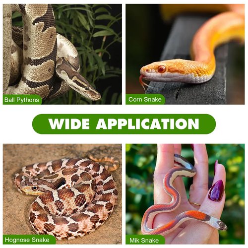 Swirge Snake Climbing Rings, Snakes Enrichment Toys, Ball Python Tank Accessories, Swing Climbing Hoop Chain for Ball Python Corn Snake