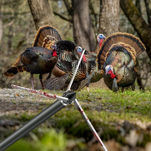 KEAUP 6 Pack 30 Inch Carbon Arrows for Compound Bow with 100 Grain Turkey Broadheads & Lighted Nocks Practice Target Hunting Arrows for Compound Recurve Bow (Spine 350)