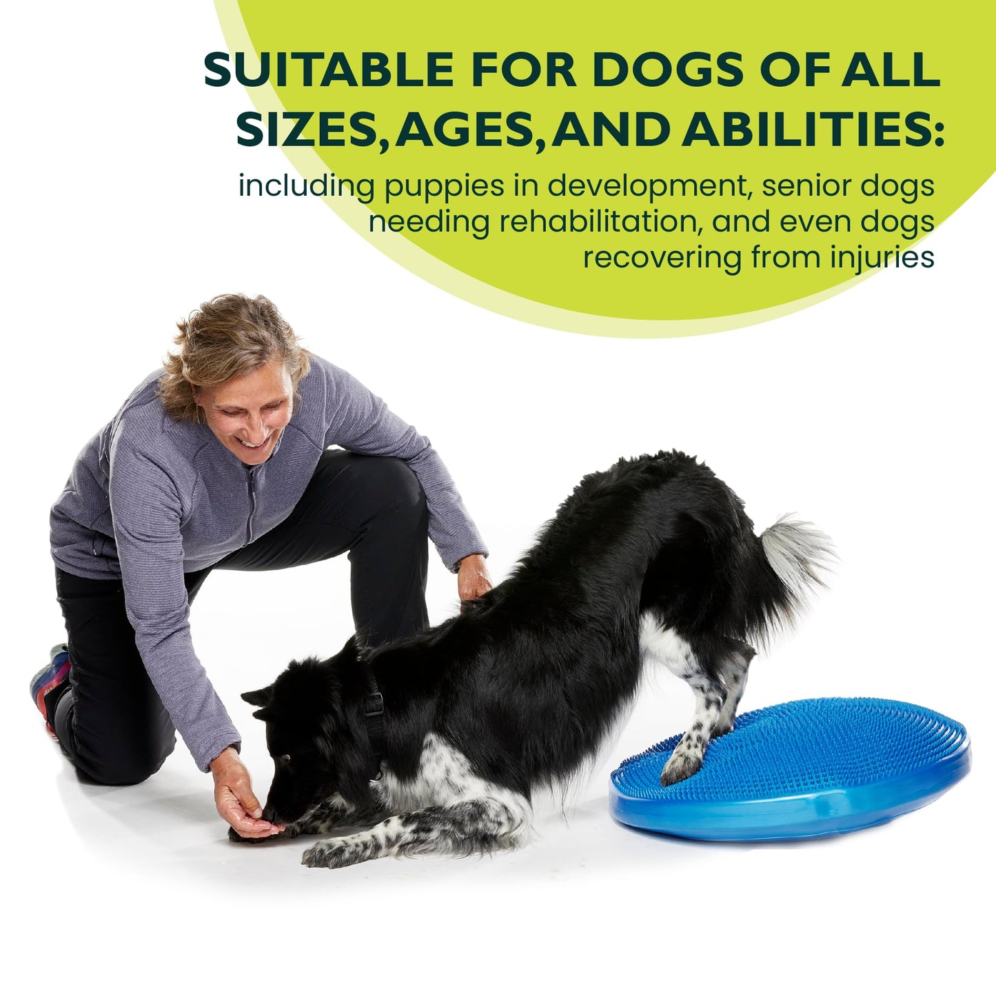 FitPAWS® Dog Balance Disc – 22”, Blue | Dog Exercise Equipment | Workout Tool for Strength, Core, Stability & Rehabilitation