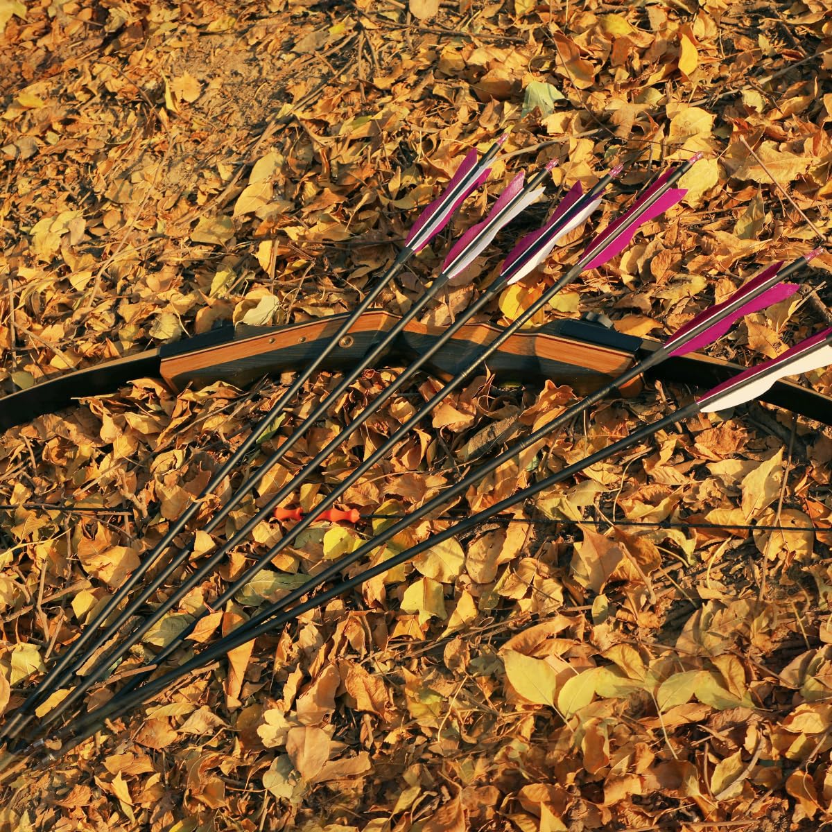 31" Carbon Hunting Arrows Archery Target Practice Arrows with 5" Turkey Feathers Spine 500 for Recurve Bow and Compound Bow(Pack of 12) (7.8MM Purple)