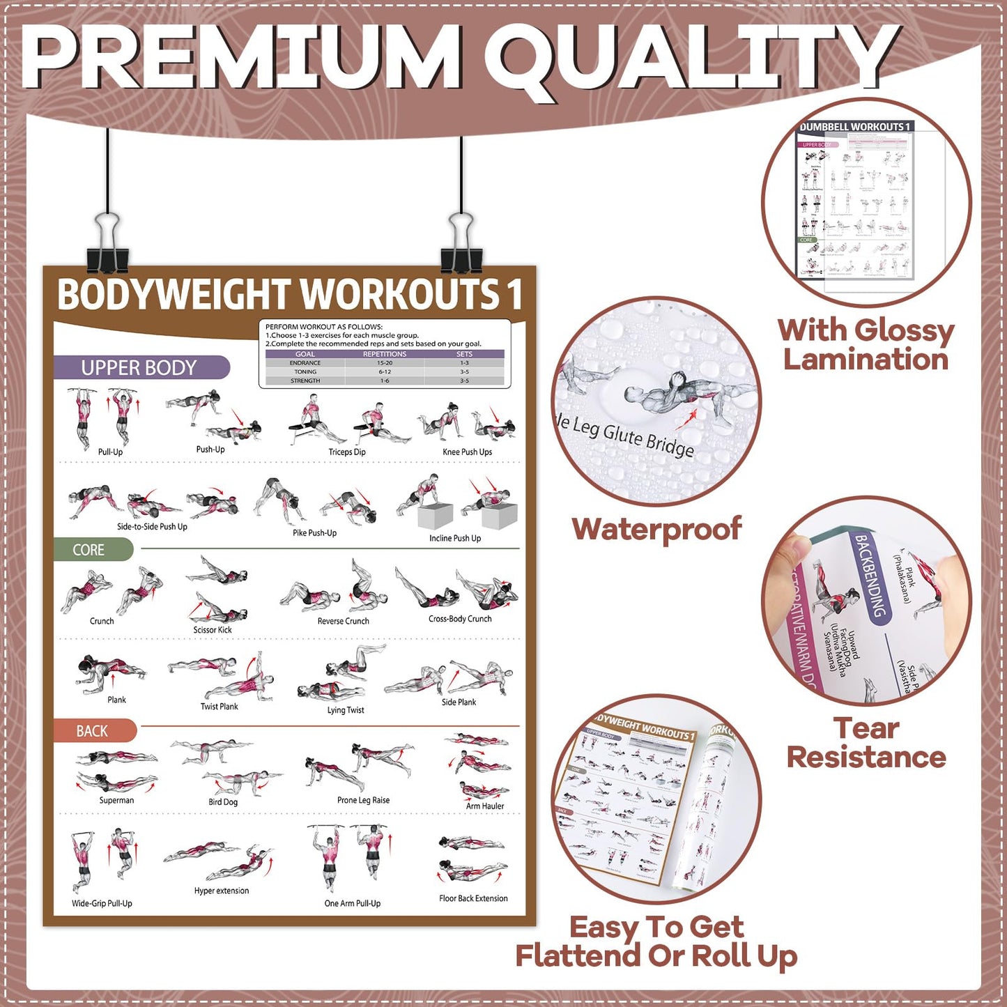 gisgfim 6PCS Workout Posters Dumbbell Bodyweight Stretching Workout Exercise Chart for Home Gym Full Body Routine Poster Set Muscle Engagement Exercise Illustrations Garage Home Gym Wall Decorations
