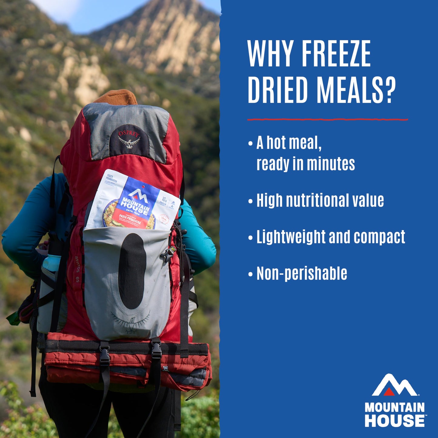Mountain House Chicken & Dumplings | Freeze-Dried Food for Camping, 4 Servings, 30-Year Shelf-Life, 2-Pack