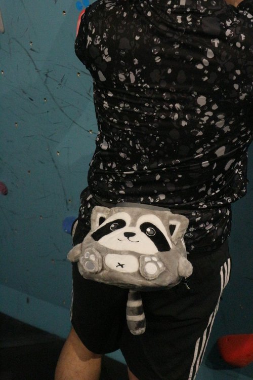 Chalk Bag for Rock Climbing - Cute Racoon Chalk Bag for Bouldering, Gym, Indoor & Outdoor Climbing with Adjustable Belt, Brush Holder & Carabiner