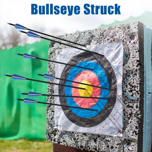 SERfawnCH 12 Carbon Arrows 6 Broadheads 30in Spine 500 Archery Hunting Target Practice Arrows for Compound Recurve Bow Removable Tips