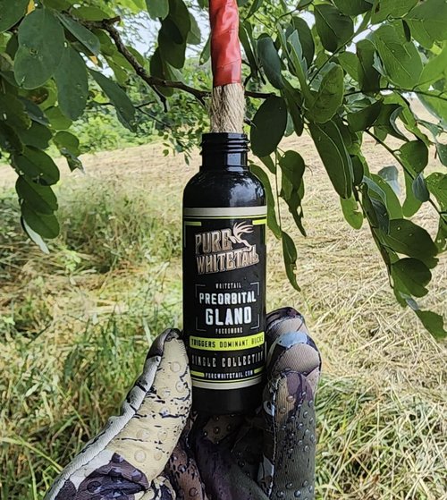 Pure Whitetail Preorbital Gland Scent | Deer Forehead Gland Scent | Natural Deer Scent | Mock Scrape Scent | Makes a Licking Stick for Deer | 2 oz Bottle