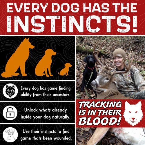 DogBone Tracking Dog Training System to Train Your Dog to Track Wounded Deer | Dog Training Kit | Hunting Dog Accessories | Dog Scent Training Kit | Deer Hunting Accessories | Dog Training Tools