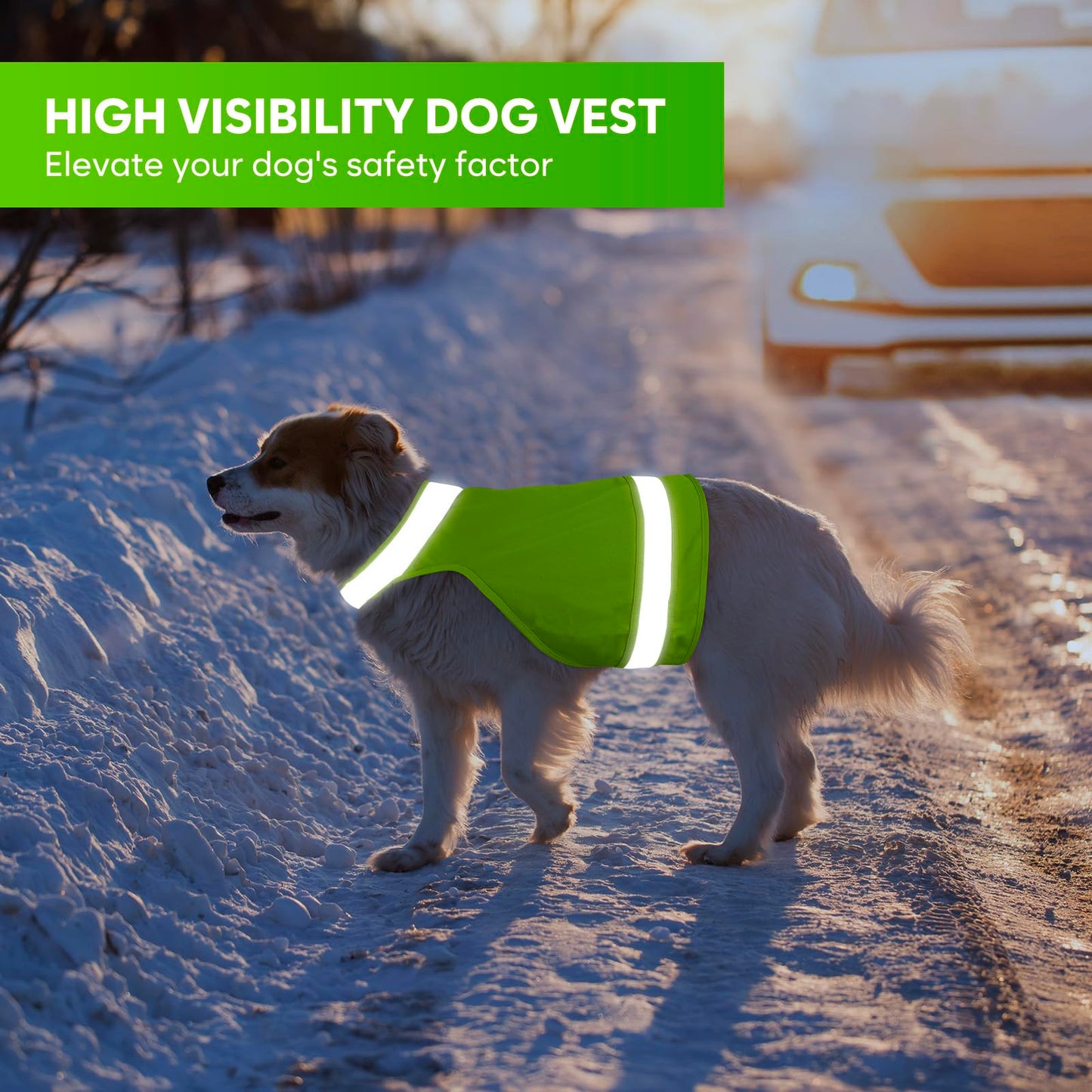 2 Pieces Dog Hunting Vest Reflective Safety Vest Adjustable,High Visibility Jacket Make Your Dog More Visible and Safety from Hunter (Fluorescent Green&Blaze Orange,M)