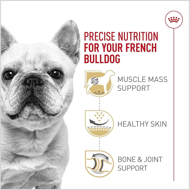 Royal Canin French Bulldog Adult Dry Dog Food 6 lb Bag - 6 Pound (Pack of 1)