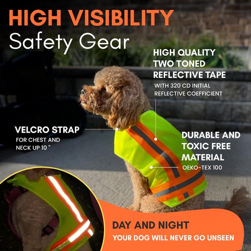 Buddy Glow Reflective Dog Vest: Hi-Visibility Safety Gear for Outdoors. Safeguard Your Dog with Easy to wear Adjustable Reflective Vest (Small)