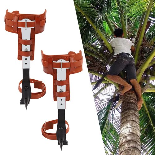 LYNICESHOP Professional Stainless Steel Tree Climbing Spurs, Multi-Functional Safety Harness w/Cowhide Straps, 440lbs Capacity Gear for Arborists, Hunters, Survivalists