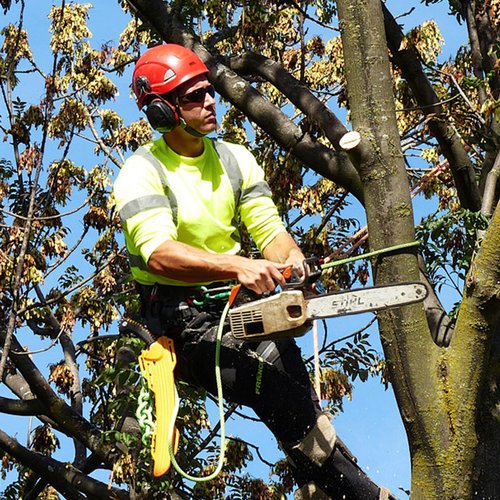 Tree Climbing Spikes Set,Tree Climbing Gear with Adjustable Climbing Belt, Arborist Tree Climbing Kit with Steel Wire Core Flip Line, Height Adjustable Tree Climbing Equipment for Tree Work, Orange
