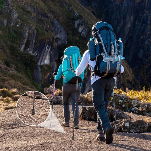 cobee 8 Pcs Trekking Pole Tips Replacement Protectors, Walking Stick Tips Rubber Cane Tips, Ski Tip Protector Accessories Fits Most Standard Hiking, Trekking, Walking Poles