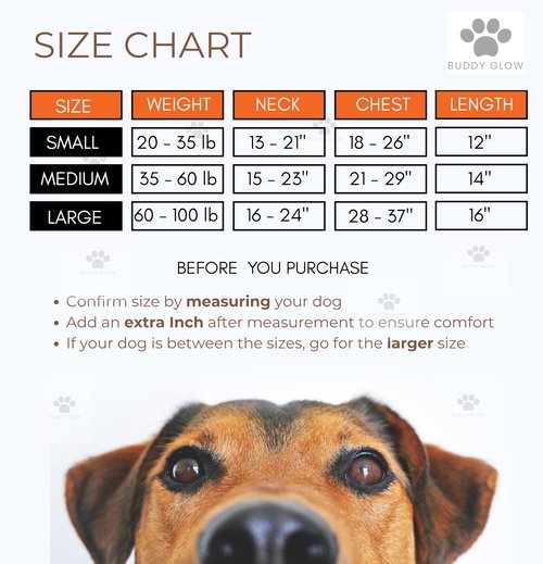 BUDDY GLOW Reflective Dog Vest – Fluorescent Orange | High-Visibility, Water-Resistant Safety Jacket with Adjustable Fit for Day & Night Walks, Hiking, Hunting, and Outdoor Use (Large)