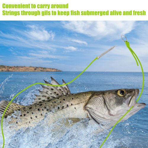 Soulchen 2 PCS 10 Ft 550lb Paracord Fishing Stringer Fish Holder with Stainless Steel Fish Spike and 1 Inch Split Ring (Green)