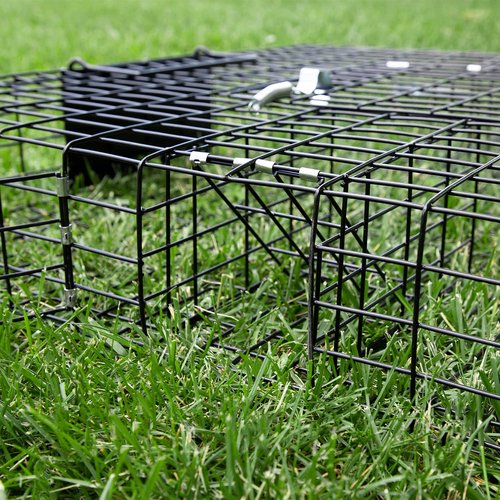 Rugged Ranch Squirrel Trap, Live Animal Catch & Release Cage, Squirrelinator, Black - Humane Indoor and Outdoor Catcher for Chipmunks and Squirrels