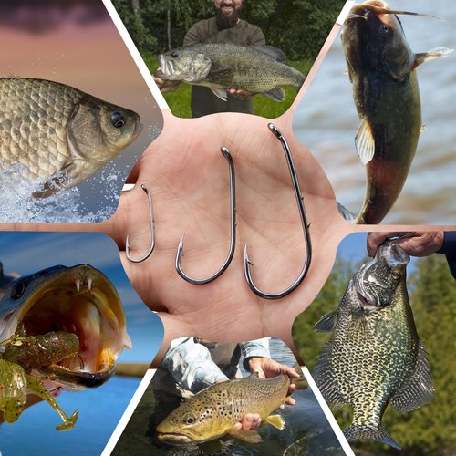 Natufish Baitholder Fishing Hooks 50Pcs Bait Holder Hooks Offset/Double Barbed/Long Shank/Down Eye for Soft Live Baits Saltwater(Size 6#)
