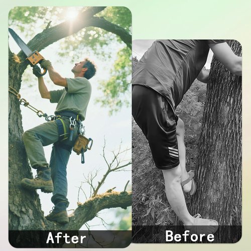 timiland Adjustable Alloy Steel Tree Climbing Gear，Tree Spikes， Tree Climbing Spikes Set with Safety Belts 350lbs Load Capacity Arborist Equipment for Rock Climbing、Fruit Picking、Tree Felling