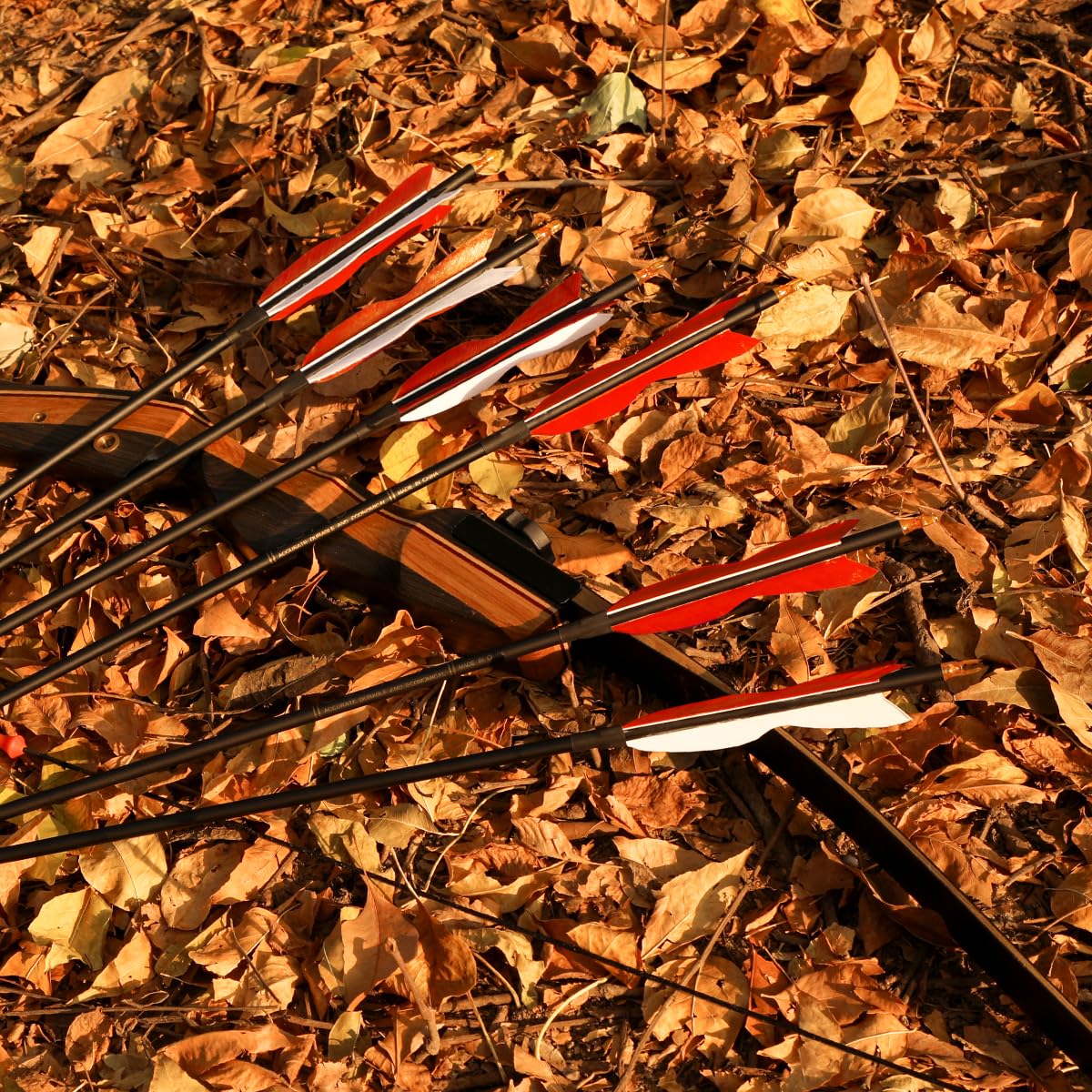 31" Carbon Hunting Arrows Archery Target Practice Arrows with 5" Turkey Feathers Spine 500 for Recurve Bow and Compound Bow(Pack of 12) (7.8MM Orange)
