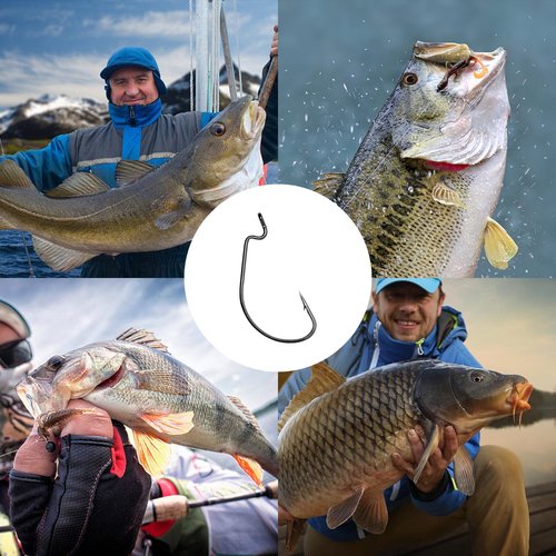 UCEC Fishing Hooks, 100pcs EWG Offset Worm Hooks Bass Hooks Wide Gap 2X Strong Senko Bait Texas Rig Jig Fish Hooks for Bass Trout Saltwater Freshwater Size:#1 1/0 2/0 3/0 4/0 5/0