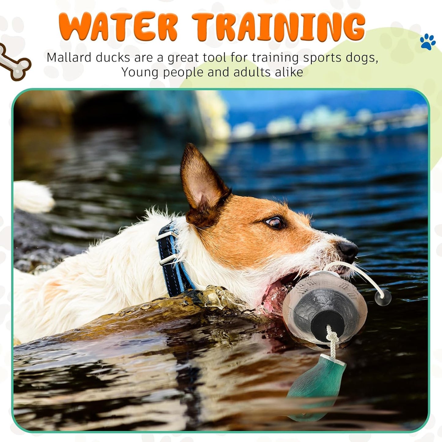2 Pcs Canvas Dummies Duck Dummy Bumper Toys for Hunting Retriever Dog Training Dog Retriever Outdoor Training Toy Hunting Duck Recognition Trainers
