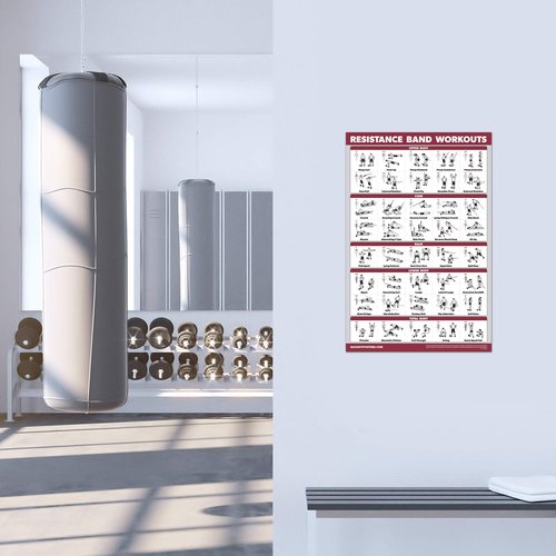 Palace Learning 3 Pack: Dumbbell Exercise Poster + Kettlebell Workouts + Resistance Bands Exercises - Set of 3 Workout Charts (LAMINATED, 18" x 24")