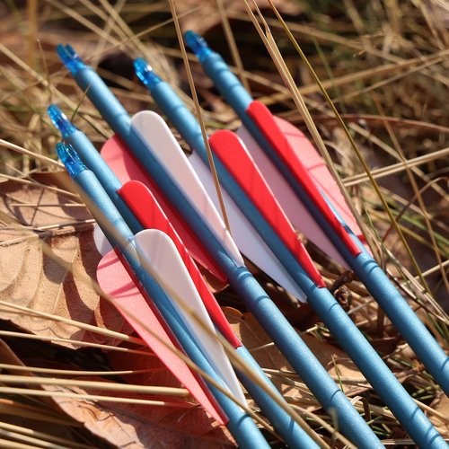 MOYJ Mixed Carbon Arrow Archery Practice Shooting 3 inch Plastic Vanes Fletching Removable Replaceable Broadhead Tips Arrows12pcs Hunting Arrows I.D.6.2MM O.D.7.8mm Arrows for Bow