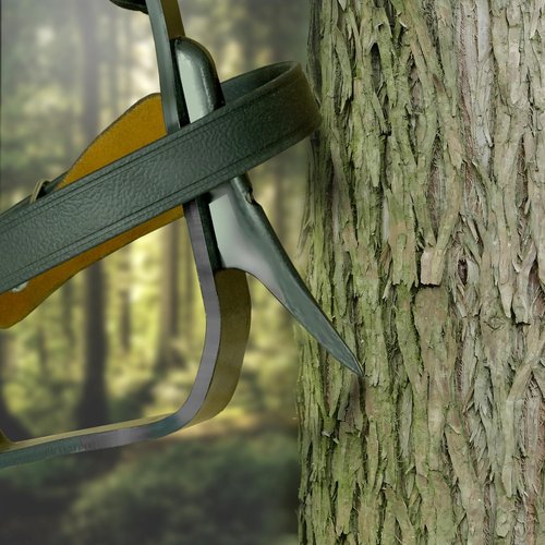 MR DIY TOOLS Tree Climbing Spikes Set, Alloy Steel Climbing Spurs, 350lbs Load Capacity, Green, Classic Style, Ideal for Climbers, Fruit Picking & Lumberjack