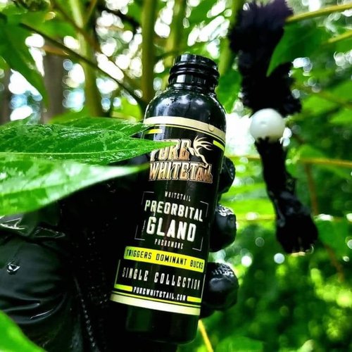 Pure Whitetail Preorbital Gland Scent | Deer Forehead Gland Scent | Natural Deer Scent | Mock Scrape Scent | Makes a Licking Stick for Deer | 2 oz Bottle