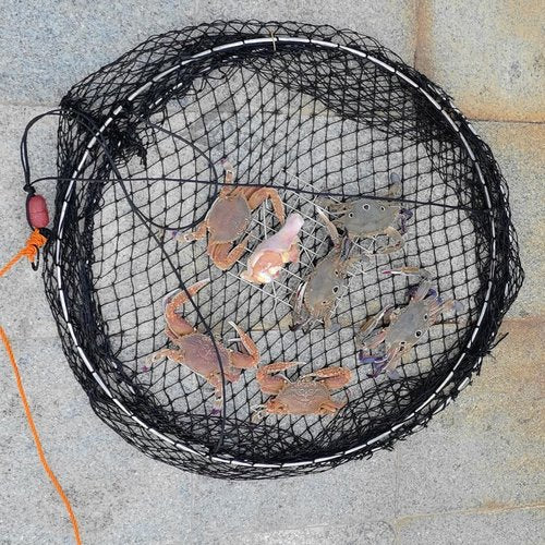 Drasry Crab Ring Trap Two Ring Crab Kit with Harness and Bait Clip Fishing Crabbing Net for Board Kayak Dock and Pier Net 24 * 24 * 13.78 in 1PCS