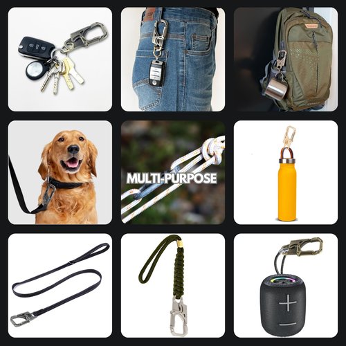 NEWTRO Carabiner Keychain Clip - Double Action Locking Key Organizer for Car Key FOB, Durable EDC Keyring for Men, Women, Outdoor (1pcs-A-Gold)