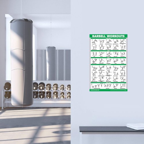 Palace Learning 3 Pack - Barbell Workout Posters Volume 1 & 2 + Stretching Exercise Chart - Set of 3 Posters (LAMINATED, 18" x 24")