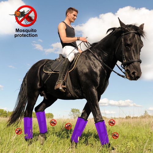 HUAME Horse Fly Boots, Breathable Mesh Protection Set of 4, Comfortable Pony Leggings, Breathable Mesh Design, Equines Supplies for Reduce Stomping, Hoof Damage & Leg Fatigue (Purple, Medium)