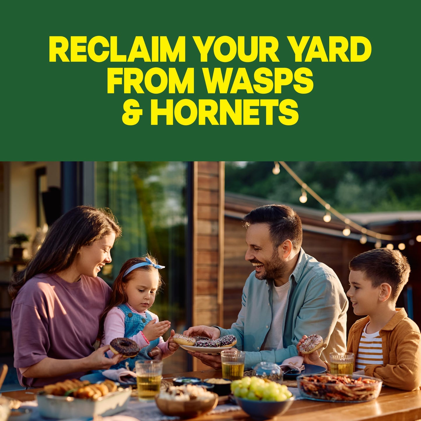 Raid Wasp & Hornet Killer Spray, Bug Killer, Wasp and Hornet Spray Kills the Entire Nest, 14 Oz, 2 Count